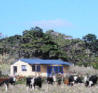 Marrawah Beach House - Accommodation Resorts