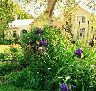 Panshanger - Accommodation Resorts