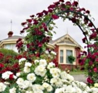 Golden Embers Apartments and B and B - Accommodation Resorts