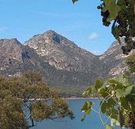 Freycinet on the Bay - Accommodation Resorts
