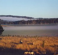 Fonthill - Accommodation Resorts