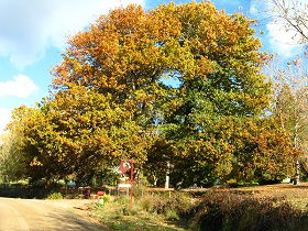 Tunnel TAS Accommodation Resorts