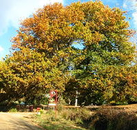 Red Rooster Host Farm - Accommodation Resorts