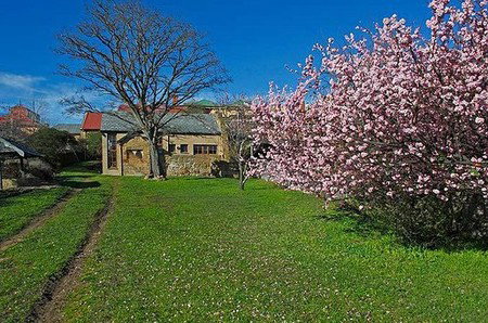 Forget-Me-Not Cottage - Accommodation Resorts 3