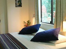 Daintree Valley Haven - Accommodation Resorts 1
