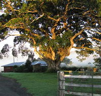 Arley Farm The Old Dairy - Accommodation Resorts