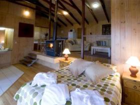 Treetops Seaview Montville - Accommodation Resorts 0