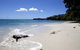 Plantation Point Beach House - thumb 4