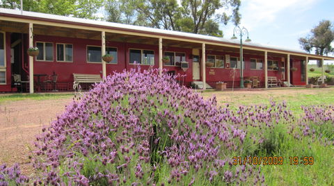 Last Stop Ambledown Brook - Accommodation Resorts 3