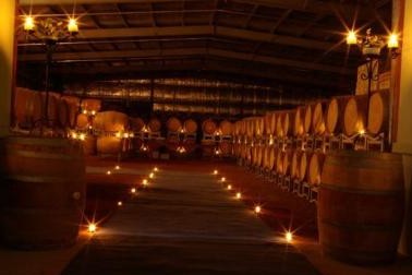 Warrenmang Vineyard & Resort - Accommodation Resorts 5