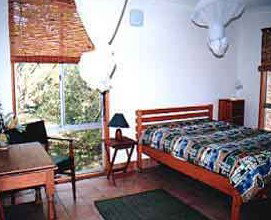 Wonga - Accommodation Resorts 1