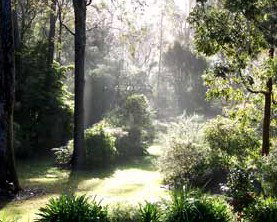 Casuarina Holiday Cottages - Accommodation Resorts 1