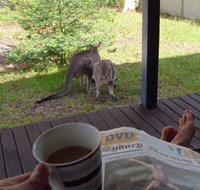 Bush and Bay Cottage - Accommodation Resorts