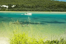 Wooli Camping and Caravan Park - Accommodation Resorts