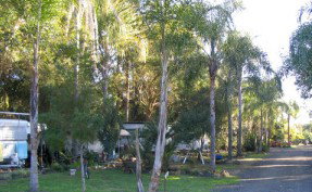 Lismore Palms Caravan Park - Accommodation Resorts 1