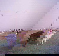 Seeview Farmstay - Accommodation Resorts