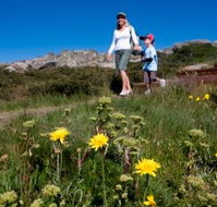 Horizons Apartment 407 - Accommodation Resorts