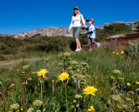 Horizons Apartment 407 - Accommodation Resorts 0