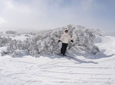 Barina Milpara Lodge - Accommodation Resorts 1