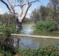 The Shanty Waterside Cottages - Accommodation Resorts