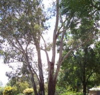 The Church House B and B - Accommodation Resorts