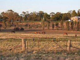 Junee Motor Inn - Accommodation Resorts 2