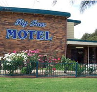 Fig Tree Motel - Accommodation Resorts