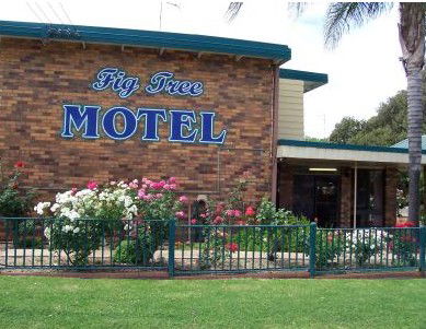 Fig Tree Motel - Accommodation Resorts 0