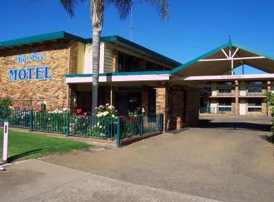 Fig Tree Motel - Accommodation Resorts 1