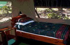 Svendsens Beach, Great Keppel Island - Accommodation Resorts 4