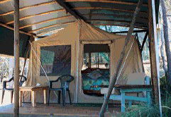 Svendsens Beach, Great Keppel Island - Accommodation Resorts 5