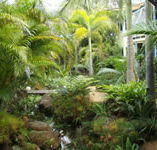 Chamomile Bed and Breakfast - Accommodation Resorts
