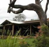 The Hollow Log Country Retreat - Accommodation Resorts