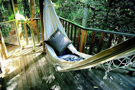 Narrows Escape Rainforest Retreat - Accommodation Resorts 0