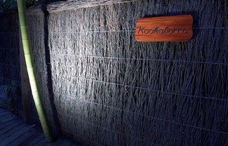 Narrows Escape Rainforest Retreat - Accommodation Resorts 1