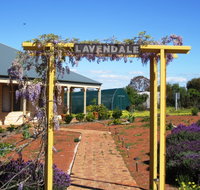 Lavendale Farmstay and Cottages - Accommodation Resorts