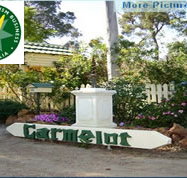 Carmelot Bed  Breakfast - Accommodation Resorts