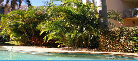 Golden Sea Apartments - Accommodation Resorts 4