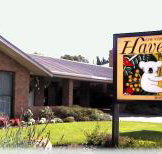 Begonia City Motor Inn - Accommodation Resorts