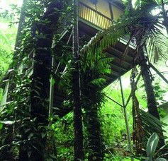 Daintree Eco Lodge And Spa - Accommodation Resorts 1