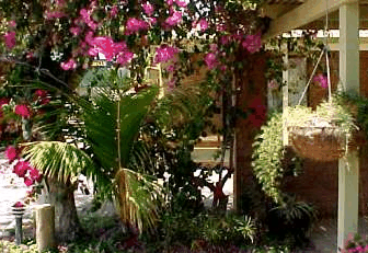 Denham Villas - Accommodation Resorts