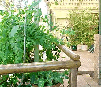 Denham Villas - thumb 1