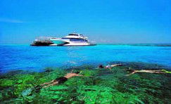 Port O' Call Eco Lodge - Accommodation Resorts 2