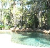 Bushland Beach Tavern - Accommodation Resorts