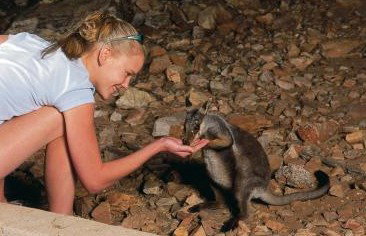 Heaviytrr Gap Outback Lodge - Accommodation Resorts 5