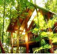 The Canopy Treehouses - Accommodation Resorts