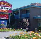 Strzelecki Motor Lodge - Accommodation Resorts