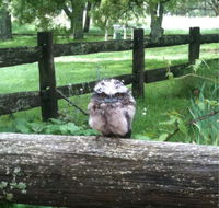 Milton Park - Accommodation Resorts