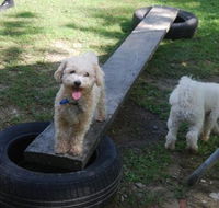 Beenleigh Pet Motel - Accommodation Resorts