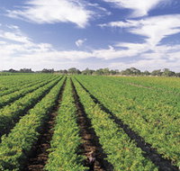 Diplomat Motel amp Restaurant - Accommodation Resorts